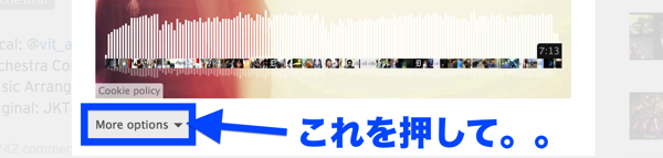 更に下の方に行き「more options」を選択。.png 更に下の方に行き「more options」を選択。