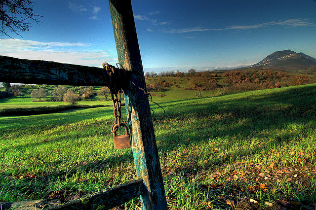 4274452534_6d9dd07b5d_z