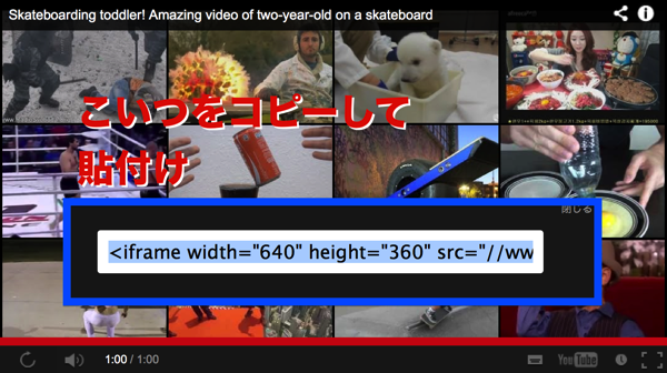 あとは貼付けるだけ.png あとは貼付けるだけ.png