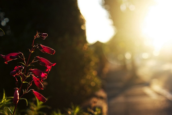 素敵な朝の時間♪.jpg 素敵な朝の時間♪