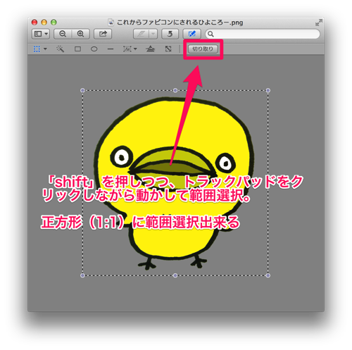 プレビューで画像を正方形(1:1)に切り取り.png プレビューで画像を正方形(1:1)に切り取り